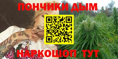 стафф Моздок