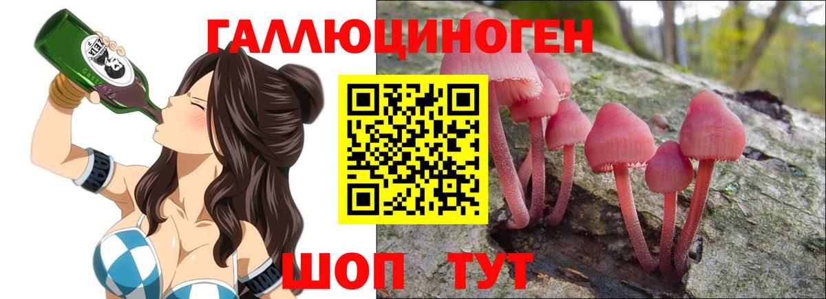 Псилоцибиновые грибы Psilocybine cubensis Тавда